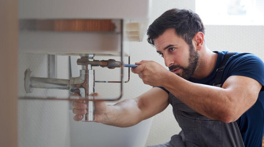 Trap Repair/Replacement in Medora, IL